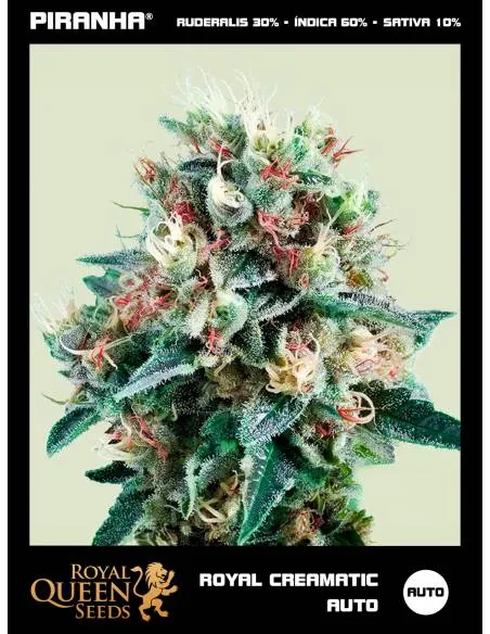 Royal Creamatic Auto...