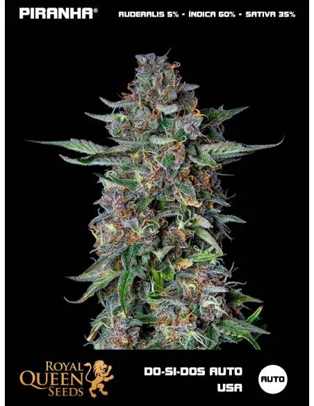 Do-Si-Dos Auto USA...