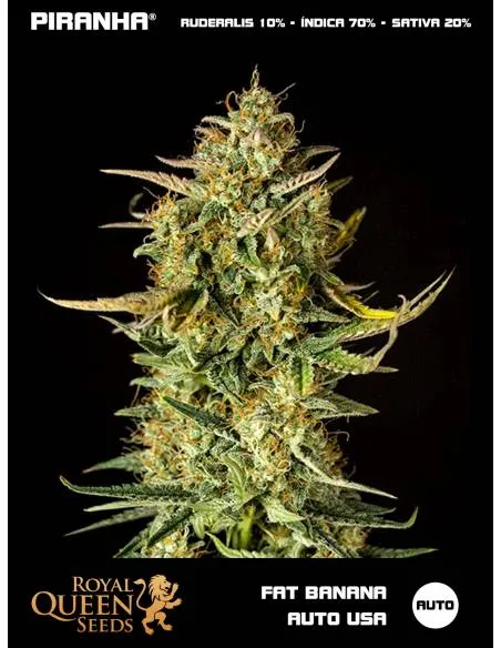 Fat Banana Auto USA...