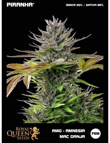 AMG - Amnesia Mac Ganja (1u/3u/5u/10u)