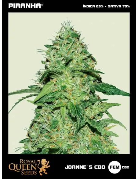 Joanne´s CBD (1u/3u/5u/10u)