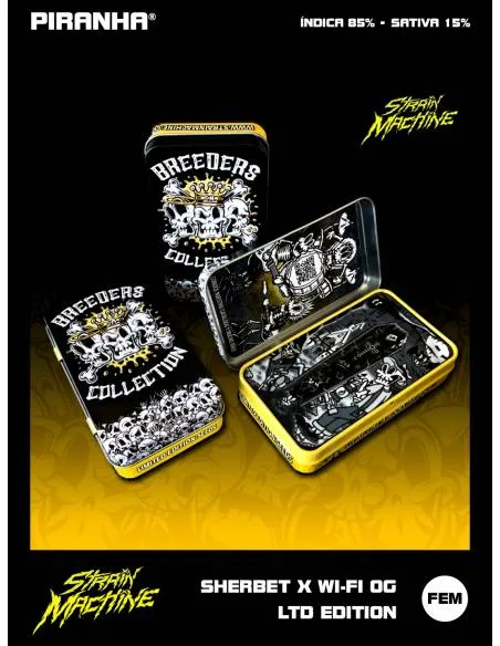 Sherbet x Wi-Fi OG LTD...