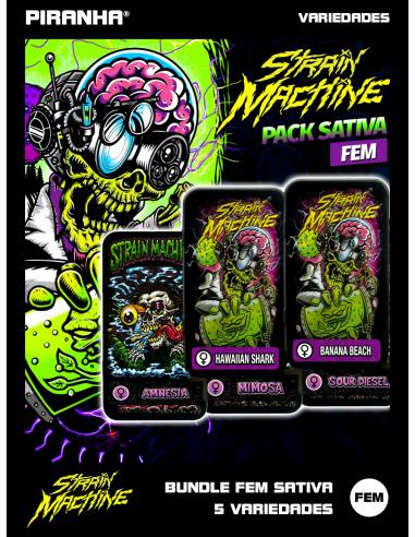 Bundle Fem Sativa Strain Machine 5...