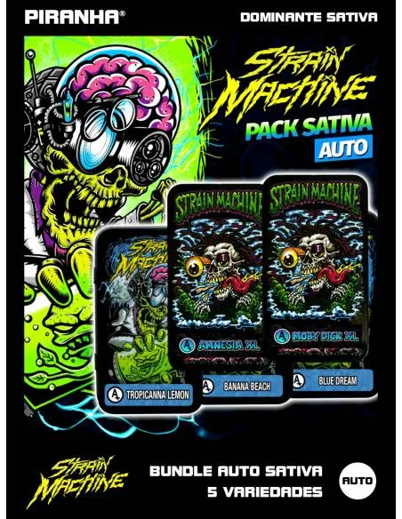 Bundle Auto Sativa Strain...