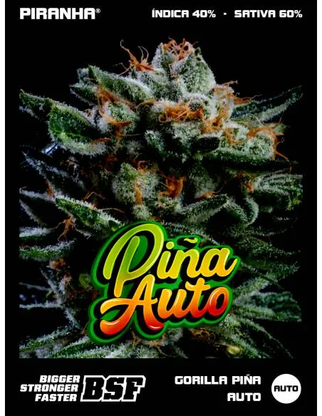 Gorilla Piña Auto...
