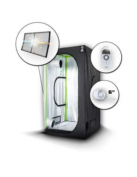 Kit Quantum Board 100 -...
