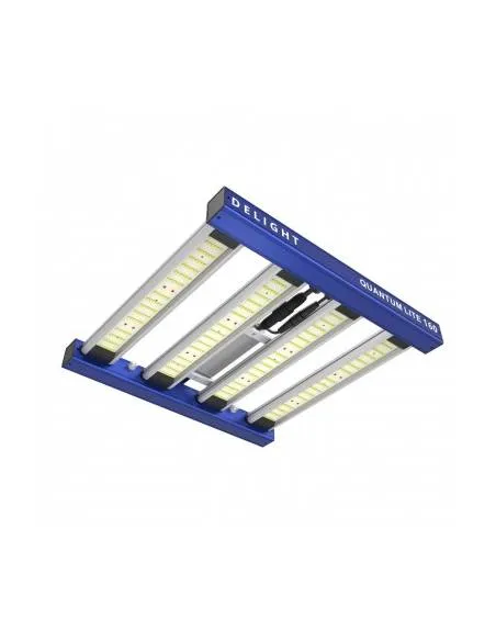 LED Delight New Quantum...