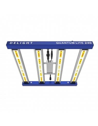 LED Delight New Quantum Lite QL240W