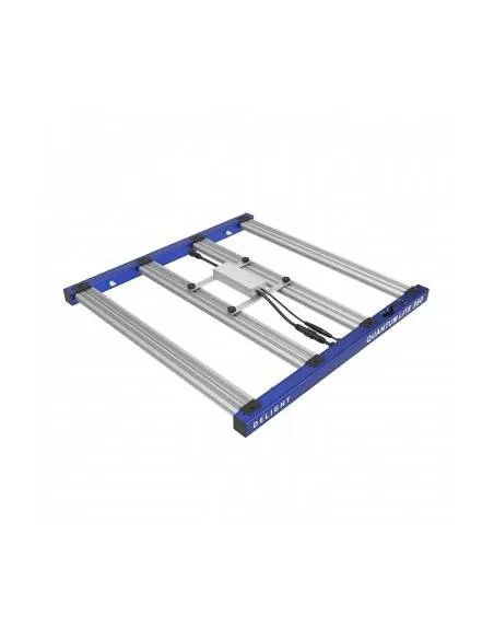 LED Delight New Quantum...