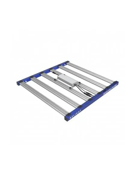 LED Delight New Quantum...