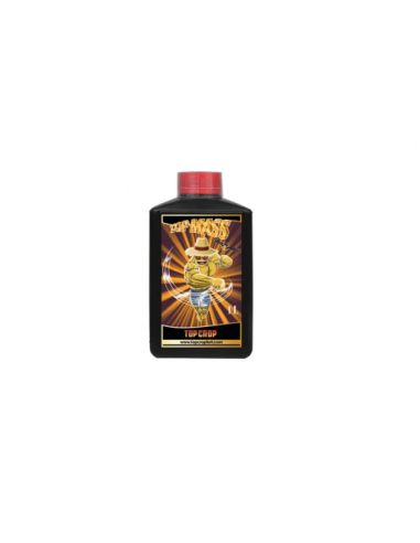 Top Mass 1L