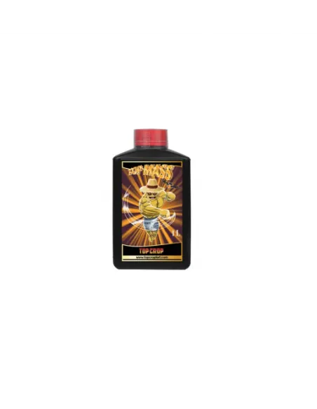 Top Mass 1L