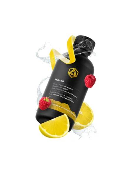 Terpeno Abstrax Tech...