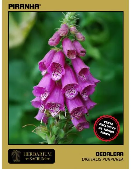 Dedalera (Digitalis...