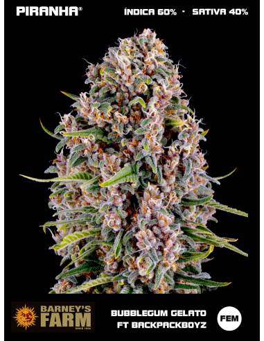 Bubblegum Gelato by Backpackboyz (3u)