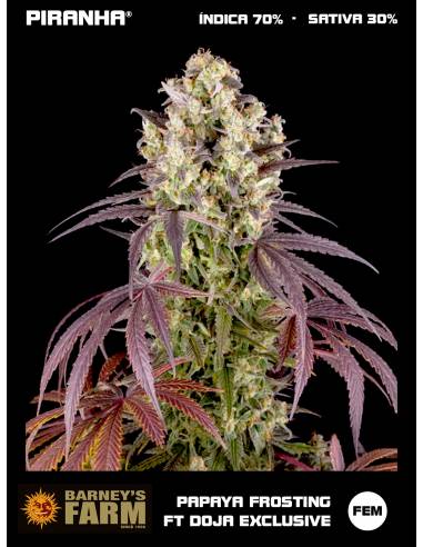 Papaya Frosting feat. DOJA Exclusive...