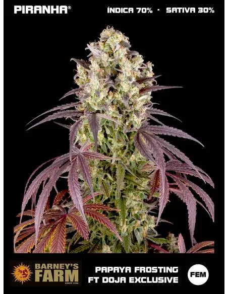 Papaya Frosting feat. DOJA...