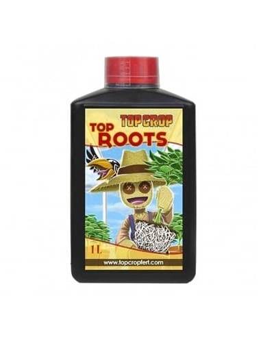 Top Roots 1L