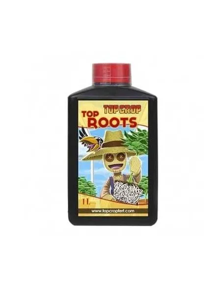 Top Roots 1L