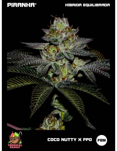 Coco Nutty x FPO (3+1u/25u)