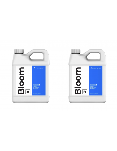 Bloom Athena A+B (946mL/3,78L/18,9L) c/u