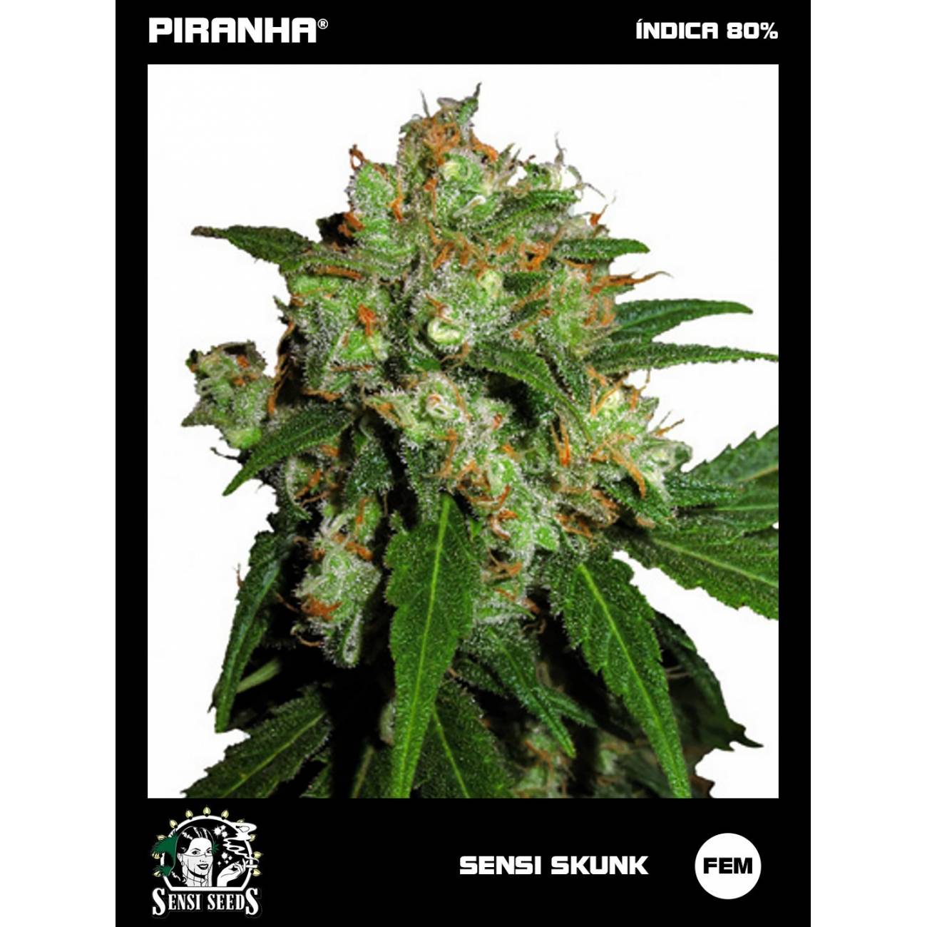 Sensi Skunk (3u)