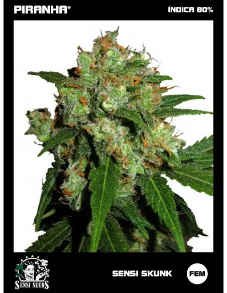 Sensi Skunk (3u)