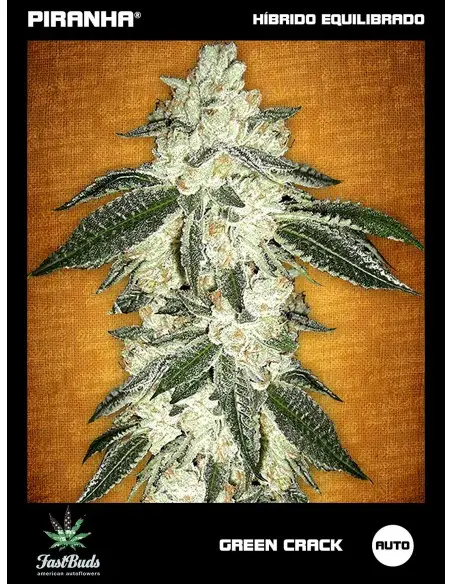 Green Crack Auto...