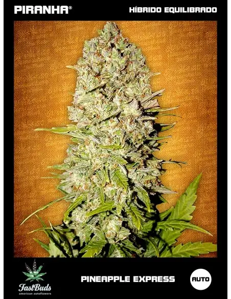 Pineapple Express Auto...
