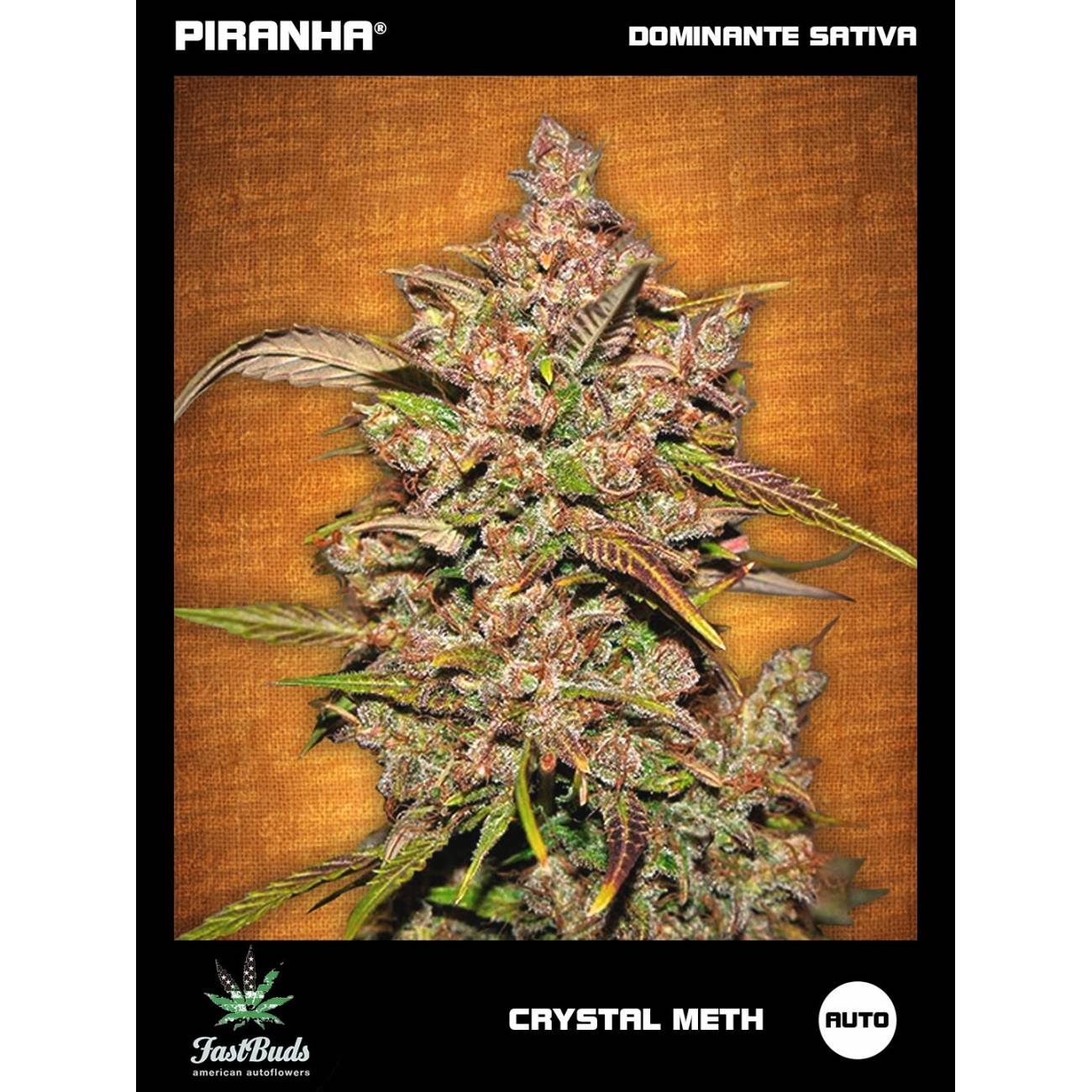 Crystal Meth Auto (1u/3+2u/5+3u)