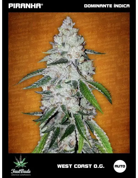 West Coast O.G. Auto...