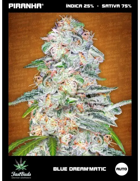 Blue Dream'matic Auto...
