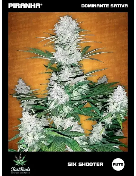 Six Shooter Auto (1u/3+2u)