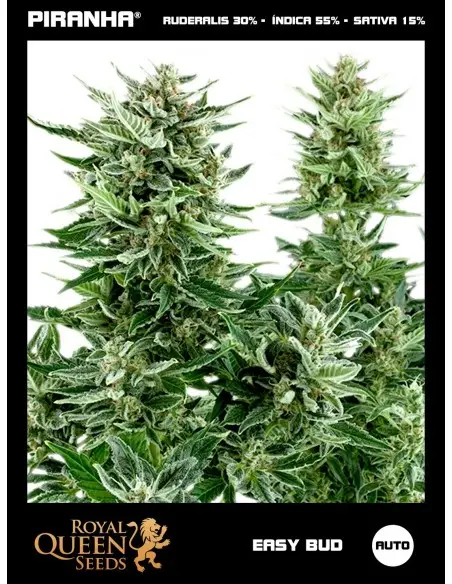 Easy Bud Auto (1u/3u/5u/10u)