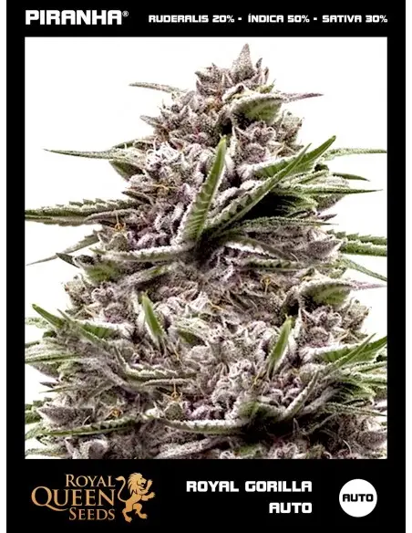 Royal Gorilla Auto...