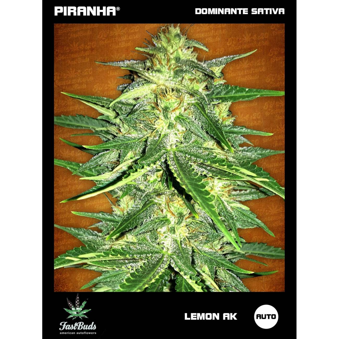 Lemon AK Auto (1u/3+2u/5+3u)