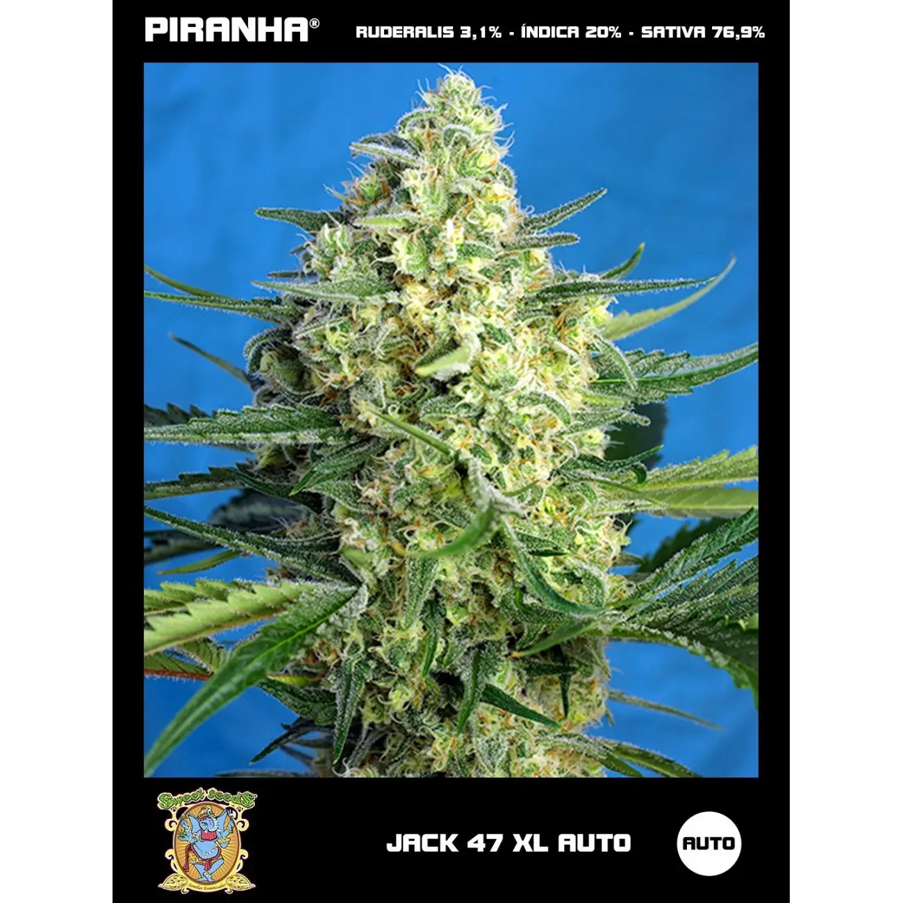 Semillas de Sweet Seeds - Jack 47 XL Auto