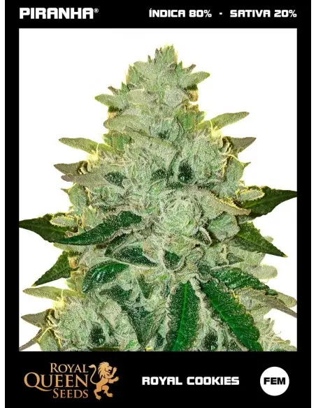 Royal Cookies USA...