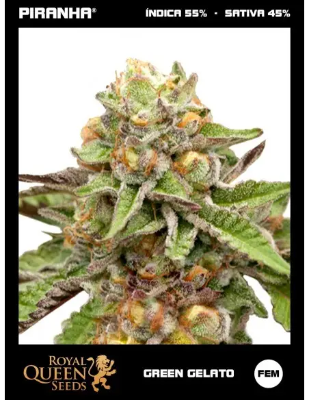 Green Gelato (1u/3u/5u/10u)