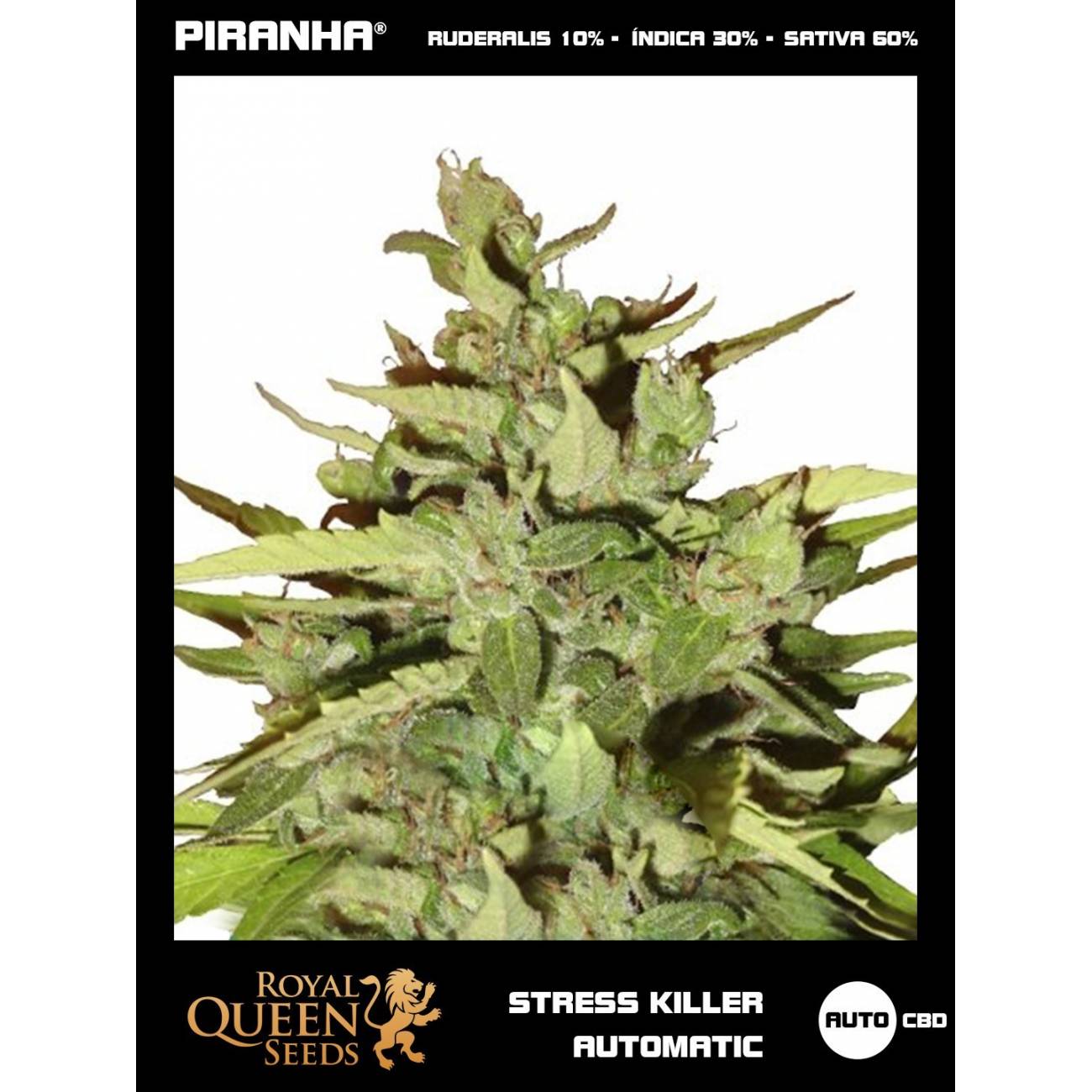 Stress Killer Auto CBD (1u/3u/5u/10u)