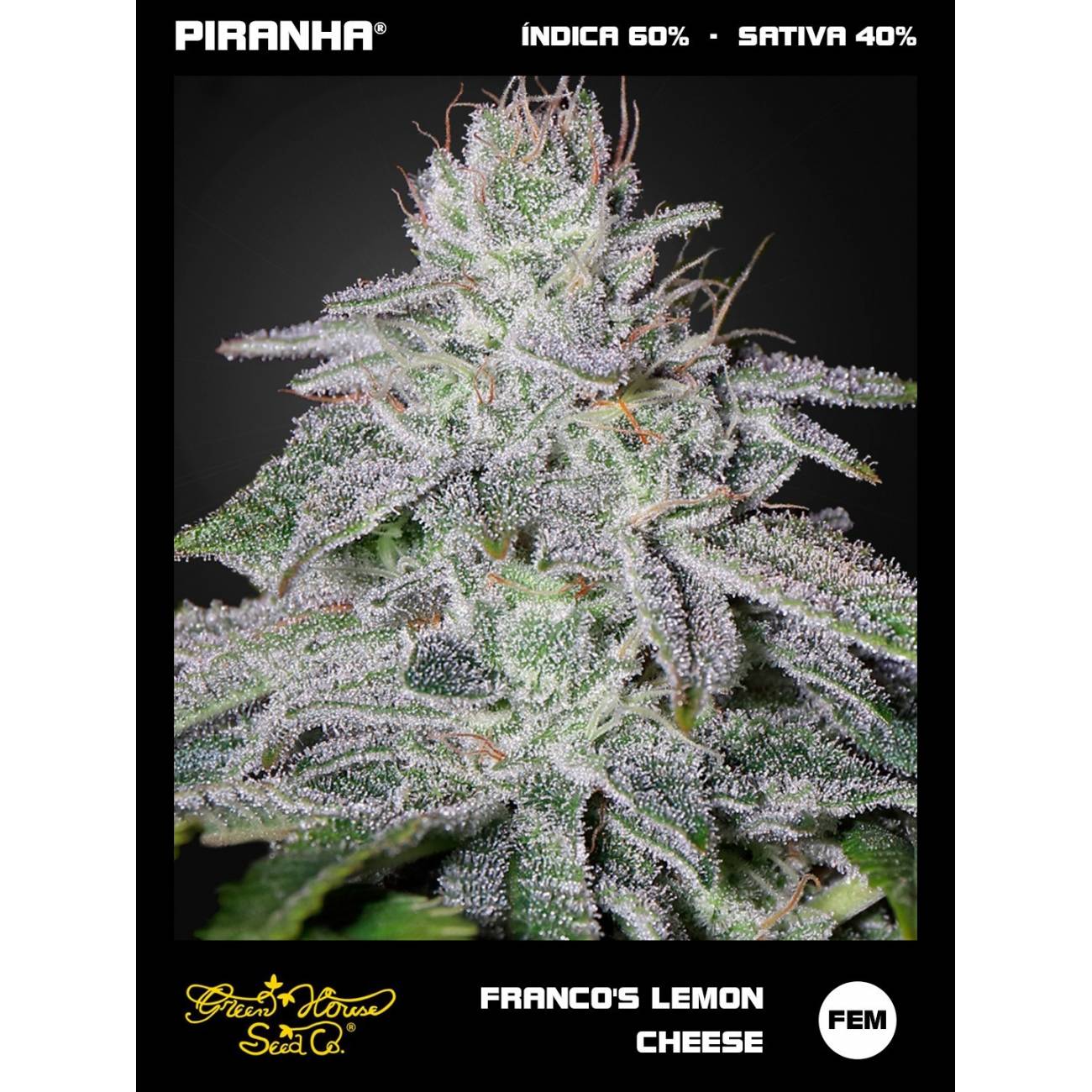 Franco's Lemon Cheese (3u)