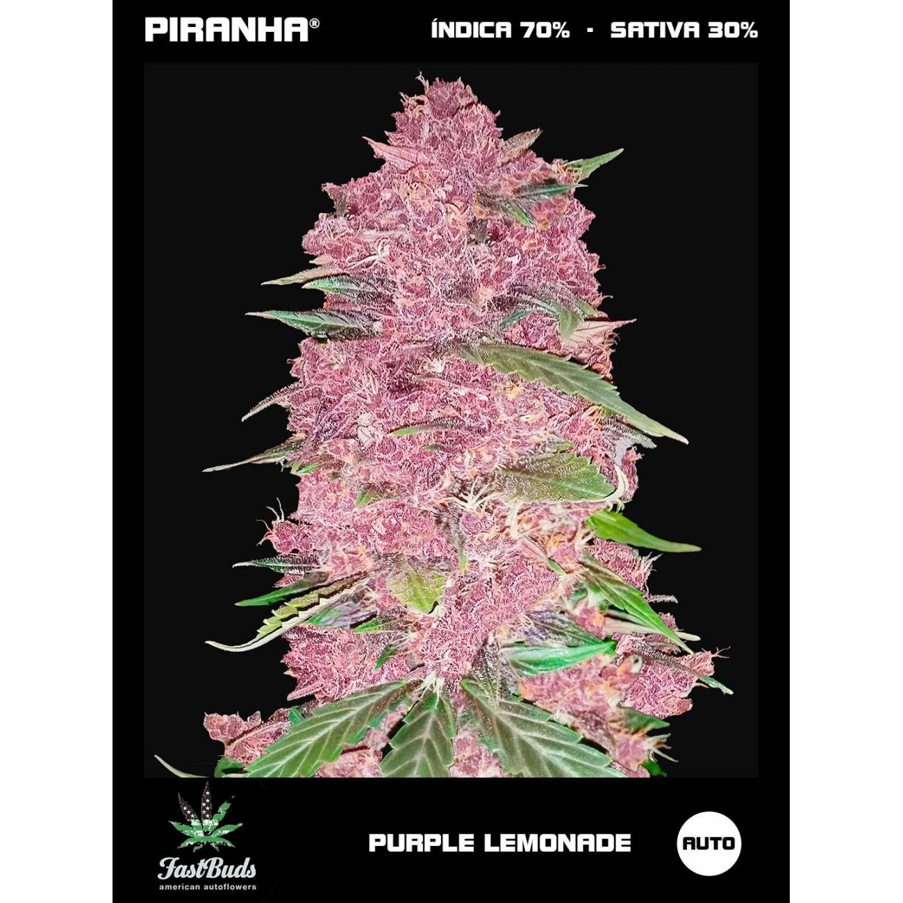 Purple Lemonade (1u/3+2u)