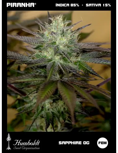 Sapphire OG (3u/100u)