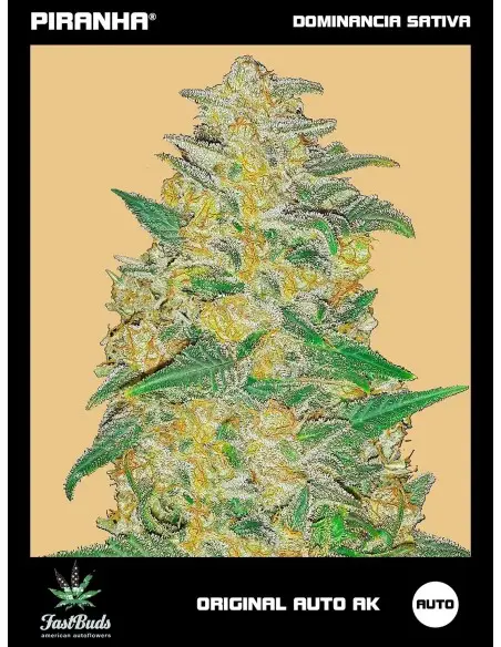 Original Auto AK (1u/3+2u)