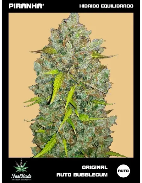 Original Bubblegum Auto...