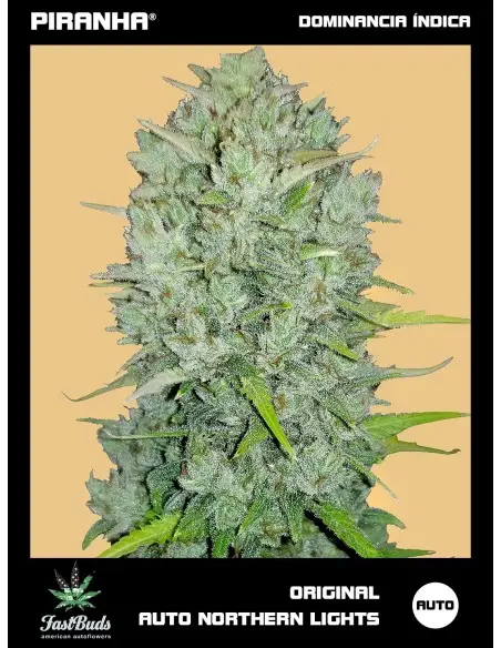 Original Northern Lights...