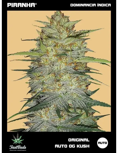 Original OG Kush Auto...