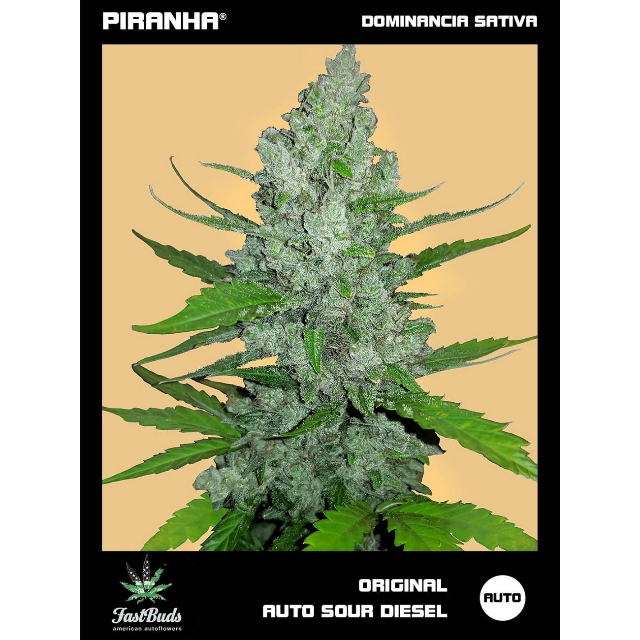 Original Sour Diesel Auto (1u/3+2u)
