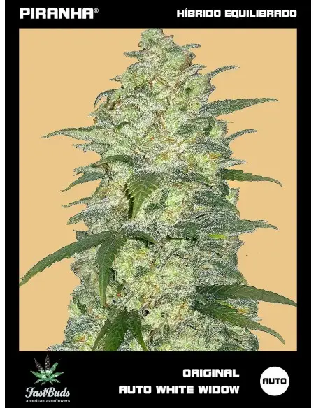 Original White Widow Auto...