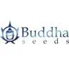 Buddha Seeds